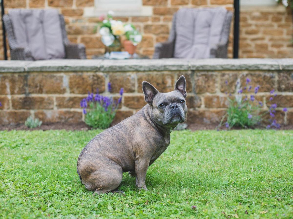 Climbing Rose Cottage - Dog Friendly - Peaceful Cotswold Cottage Adlestrop Exteriör bild